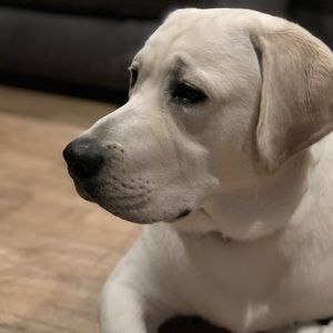 Meet your Posher, Damarie